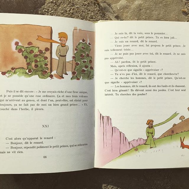 26871739_397902690633962_4515758941778477056_n